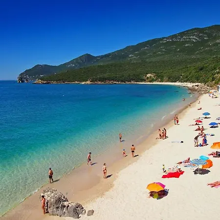 Situado Na Zona Costeira Da 아파트 *